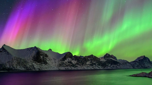 The Spot Discord server banner