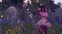 Faerûn Fashionistas banner