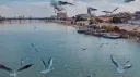 Dijlah | دجلة banner