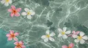 pink velvet Discord server banner