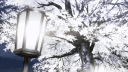 Insider banner