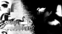 swan sanctuary        ﹕          ✦ banner