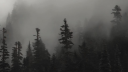 bladee ﾒ server banner