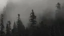 bladee メ Discord server banner