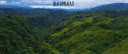 BANGALI server banner