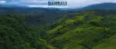 BANGALI banner