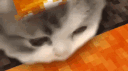 ren's goobers banner