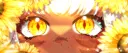 The Sunflower Nook banner