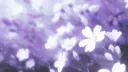 Femcord ( Fem Tag) server banner