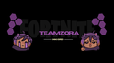 TeamZora🎮 Banner