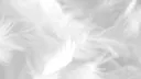 anemic banner