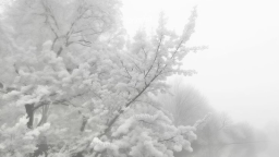 β‘ Hikari γ server banner