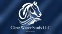 Clear Water Stud LLC banner