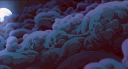 ʟᴏᴠᴇ ᴅʟᴄ ❘ Выбирай Лучшие banner