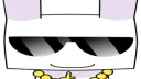 draker amateur dinga server banner