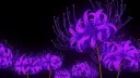 𝔖𝔞𝔣𝔢 𝔥𝔞𝔳𝔢𝔫 server banner