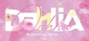 Dahlia banner