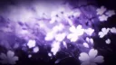 ︶︶ 𐂯 starlink ᵎᵎ ࿐ ༢ banner