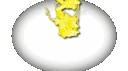 LMS banner