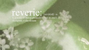 𑣲 Reverie˚₊۶ৎ˙⋆ Discord server banner