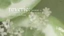 𑣲 Reverie˚₊۶ৎ˙⋆ server banner