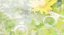 /reveriie banner