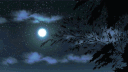 Lunaris | TRP | ERP banner