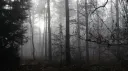 𝐜𝐥𝐨𝐬𝐞 𝐟𝐫𝐢𝐞𝐧𝐝𝐬 𝐦𝐨𝐝𝐬 banner