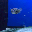 FwUCK! Discord server banner