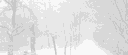-NUKED BY JIT- banner