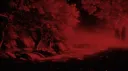 #𝐙𝐗𝟕 𝐆𝐫𝐨𝐮𝐩 banner