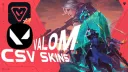 [CSV] ★𝓢𝓴𝓲𝓷 𝓜𝓪𝓵𝓵★/ValoM banner