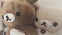 ノ bears   ! 🎊・ Social ・ Active Discord server banner
