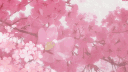 Twilight Bloom Roblox Community🌸| Steal a Brainrot | Grow a Garden | Plants vs Brainrotgt Discord server banner