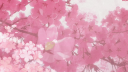Twilight Bloom Community🌸| ... banner