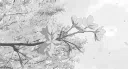 ChainGang HQ Discord server banner