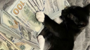 ninety shop Discord server banner