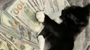 AURA (Giveaways, Trading, MM, and Fun) Discord server banner