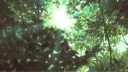 GrowAGarden |   美 banner