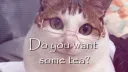 BaoCord server banner