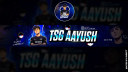 ACE AYUSH server banner