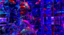ocean haven ยฐโง๐ซงโ.เณเฟ*:๏ฝฅ server banner