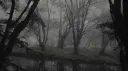 Paradoxia banner
