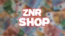 ZnR Development banner