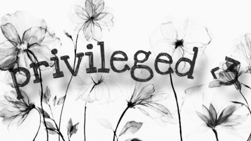 privileged Discord server banner