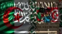 El Katiba 𝕯𝔃 ┃ Ha9 Mcha banner