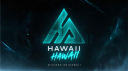 Hawaii. banner