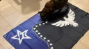 Void Troops banner