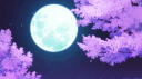 Moonlight🌙 banner