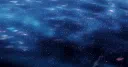 Bidaya server banner